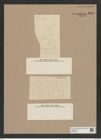 Gallionella nummuloides var. hyperborea Grun. (de-Toni-Nr.: Genus 212, Species 5304) Zeichnungen Sammlung Grunow Nr. 9150 (NHMW-BOT-W0378922)